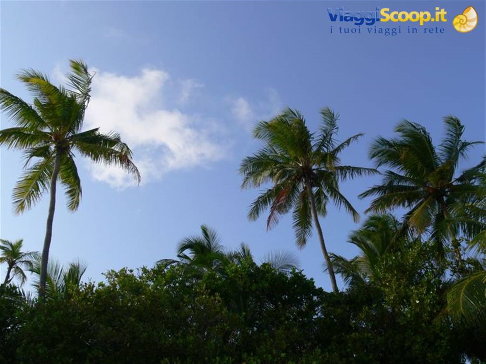 Foto di viaggio in MALDIVE