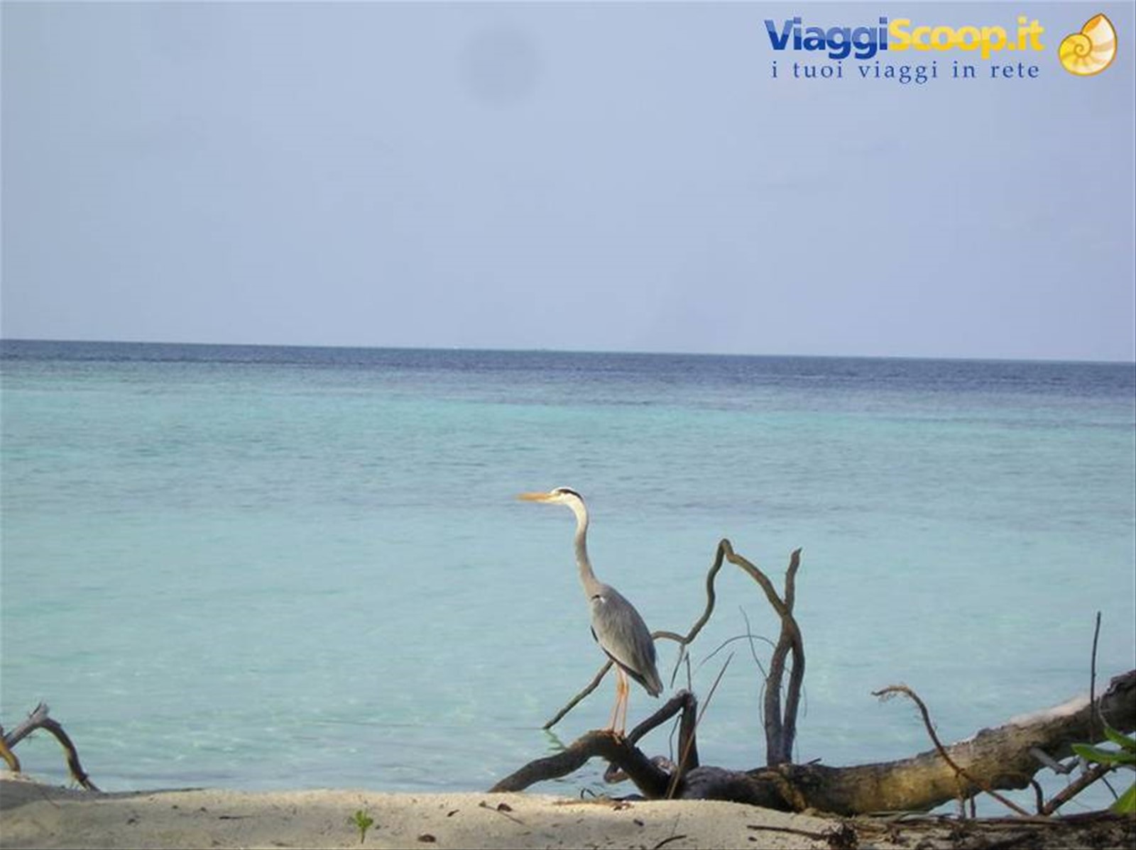 Foto di viaggio in MALDIVE