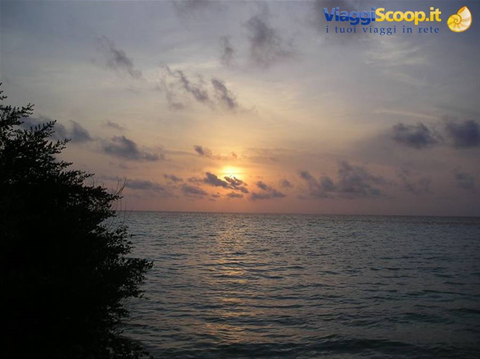 Foto di viaggio in MALDIVE