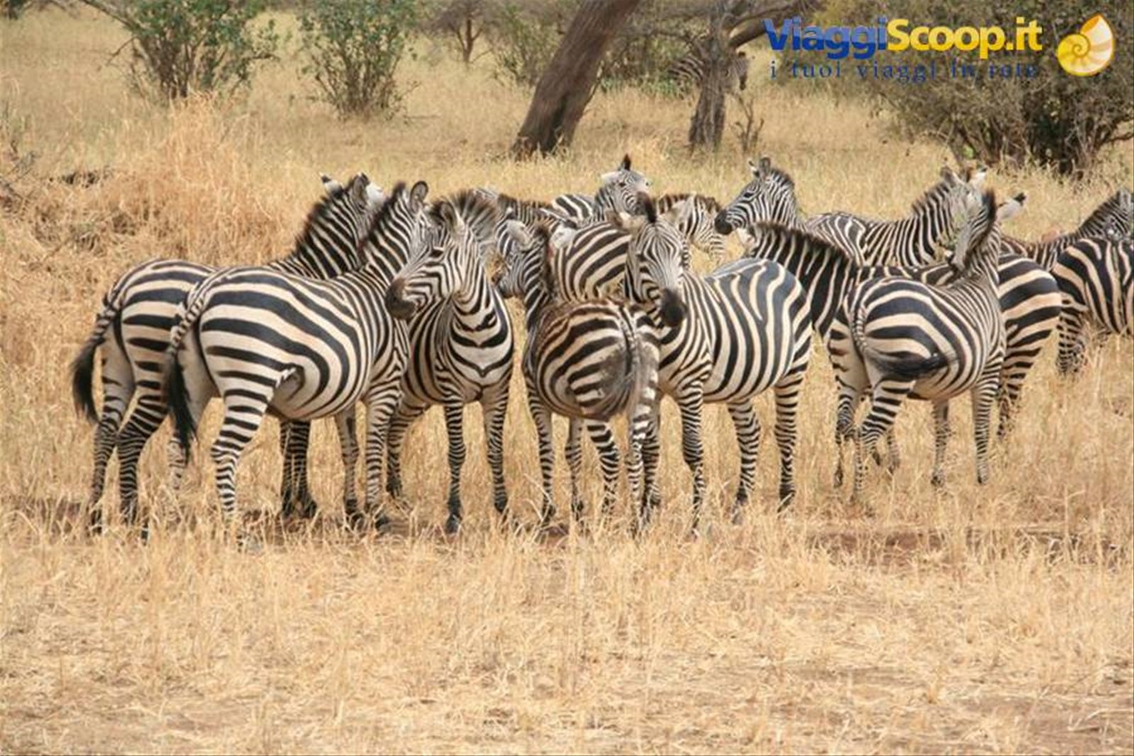Foto di viaggio in TANZANIA