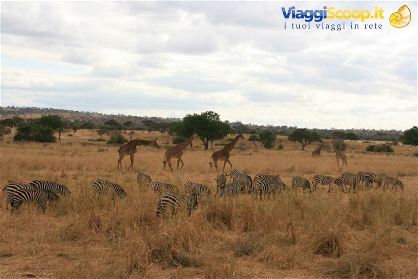 Foto di viaggio in TANZANIA