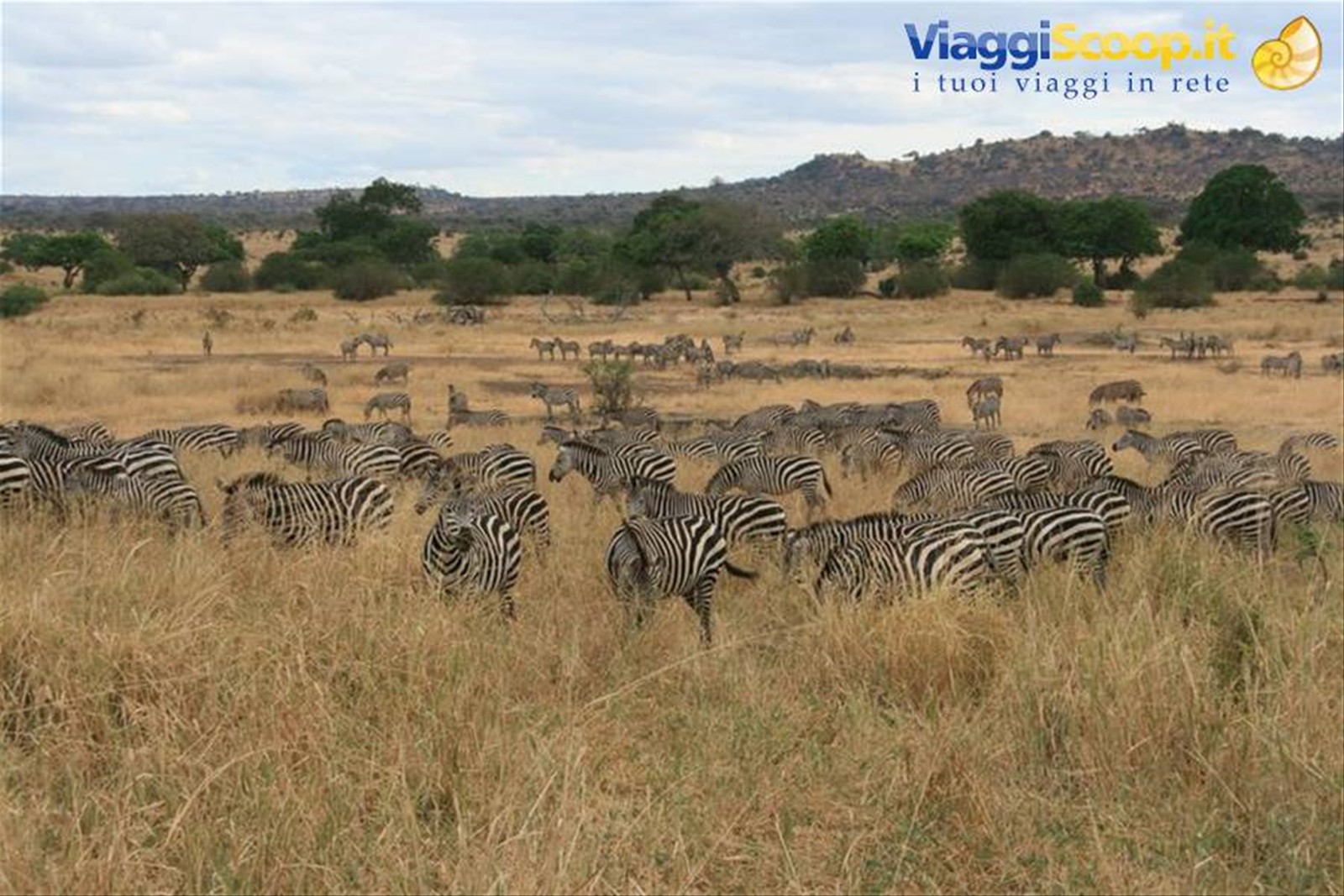Foto di viaggio in TANZANIA