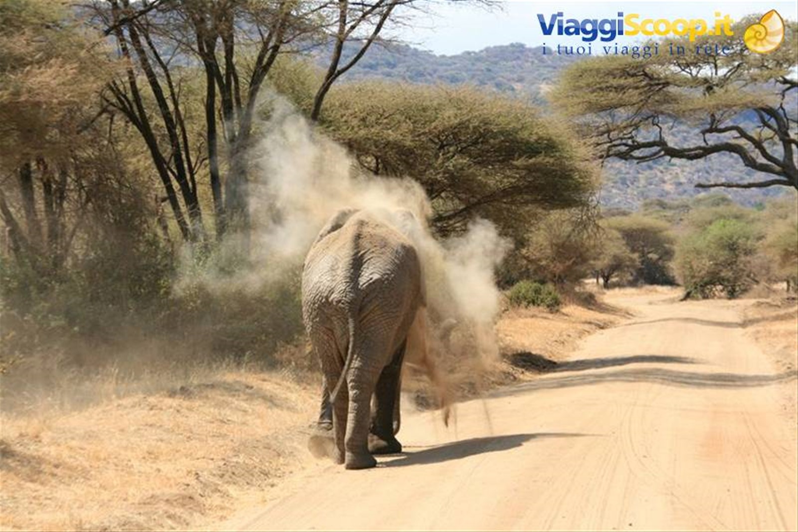Foto di viaggio in TANZANIA