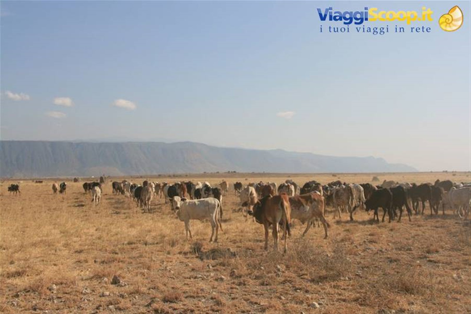 Foto di viaggio in TANZANIA