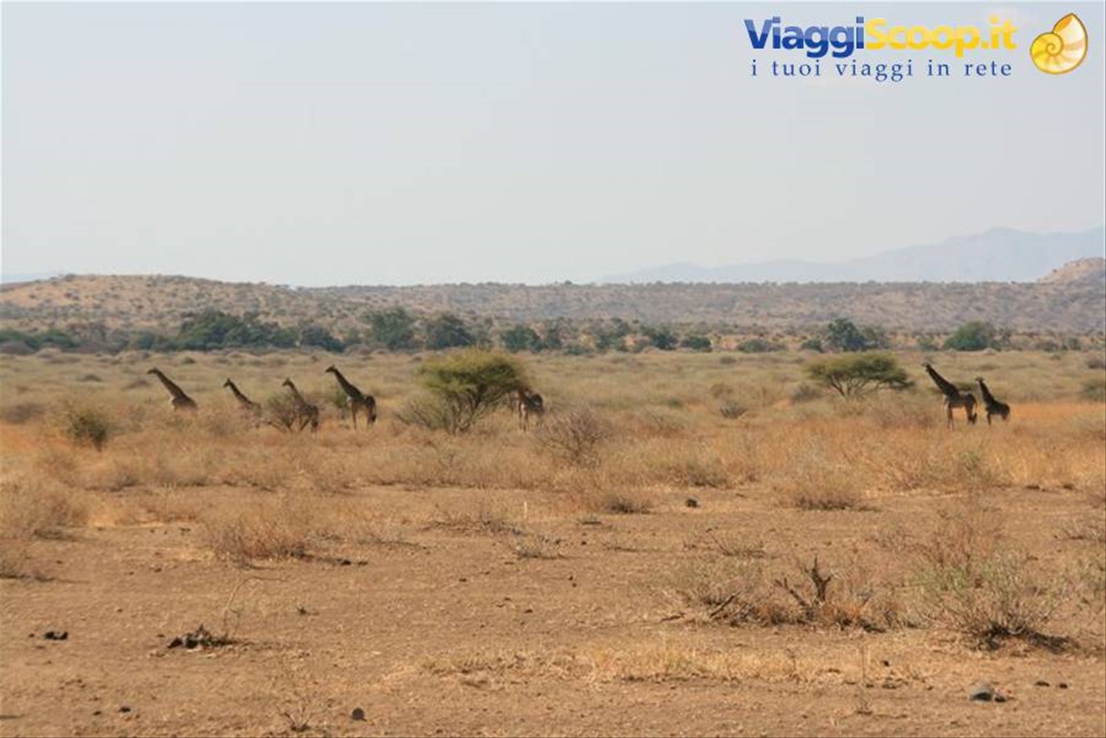 Foto di viaggio in TANZANIA