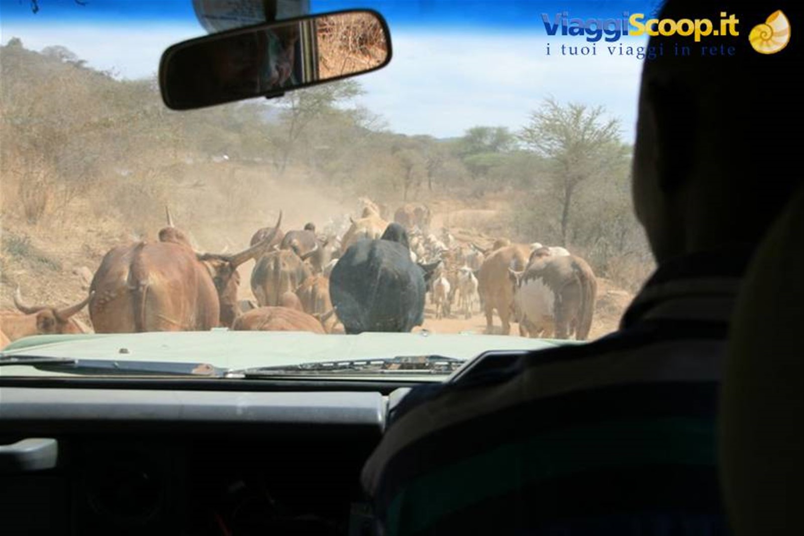 Foto di viaggio in TANZANIA