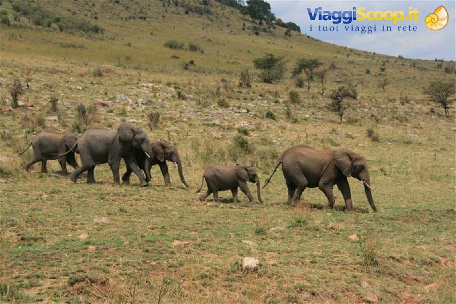 Foto di viaggio in TANZANIA