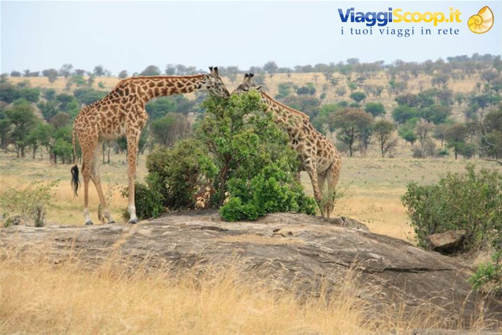 Foto di viaggio in TANZANIA