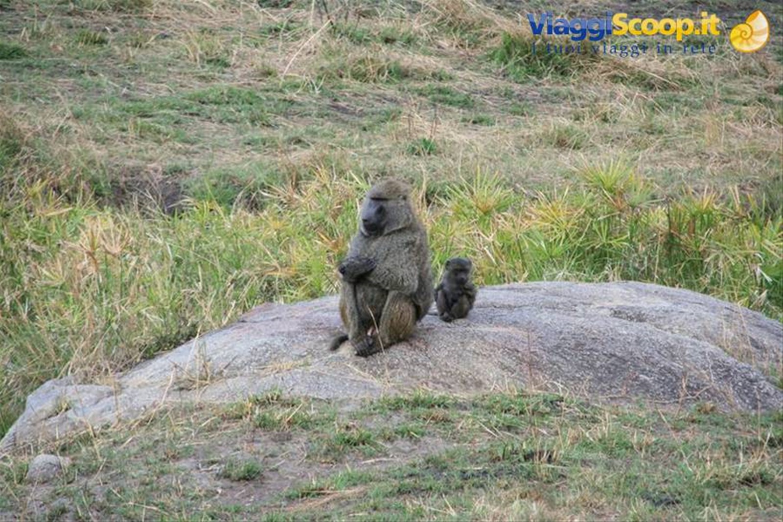 Foto di viaggio in TANZANIA