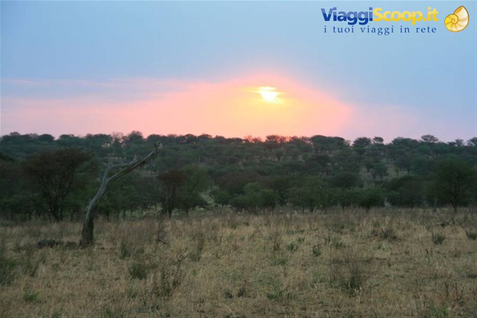 Foto di viaggio in TANZANIA