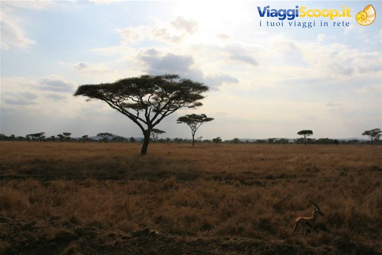 Foto di viaggio in TANZANIA
