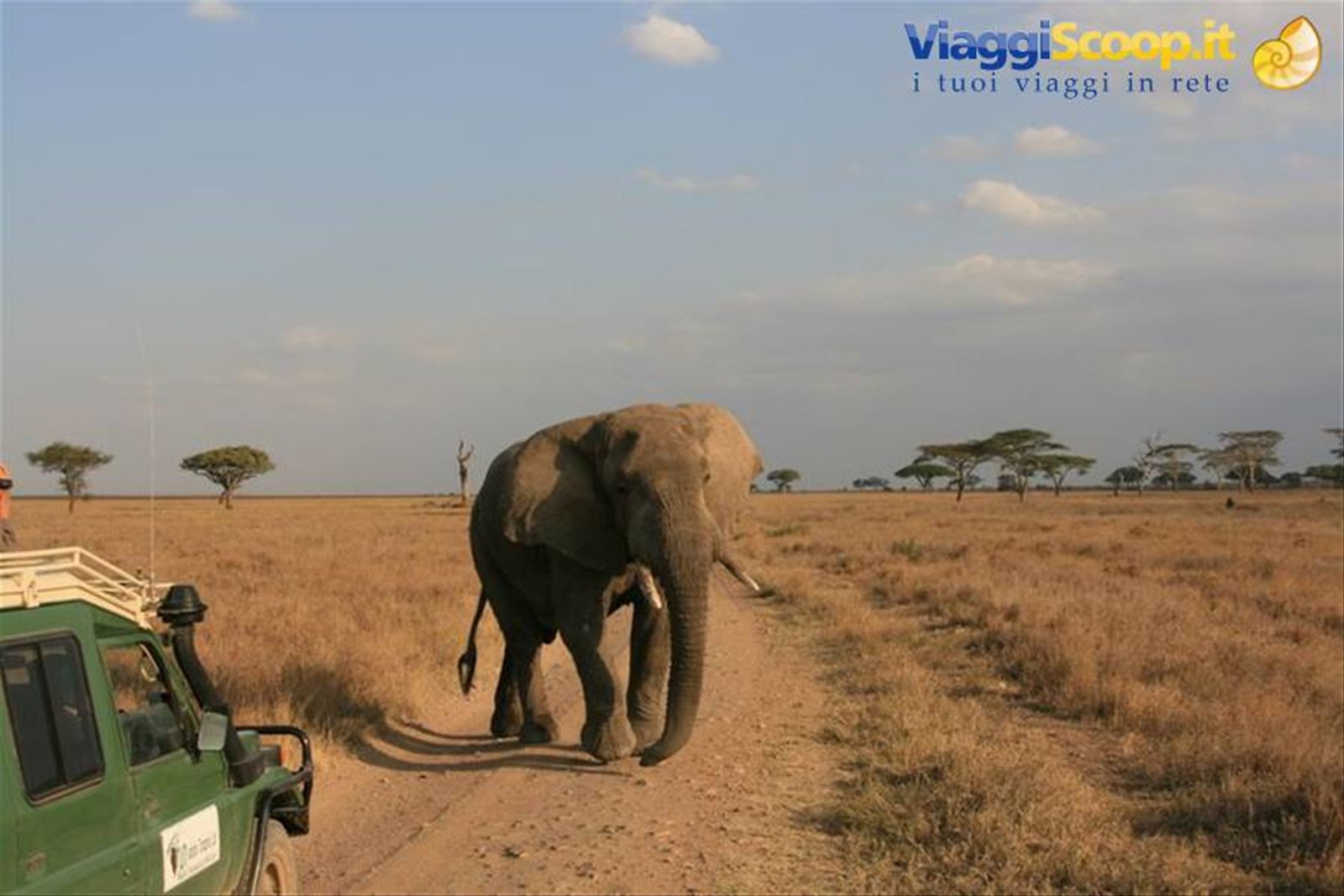 Foto di viaggio in TANZANIA