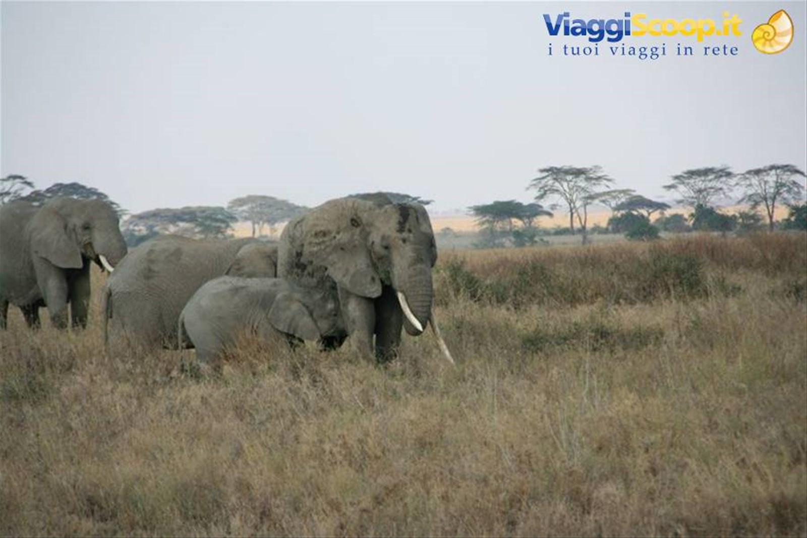 Foto di viaggio in TANZANIA