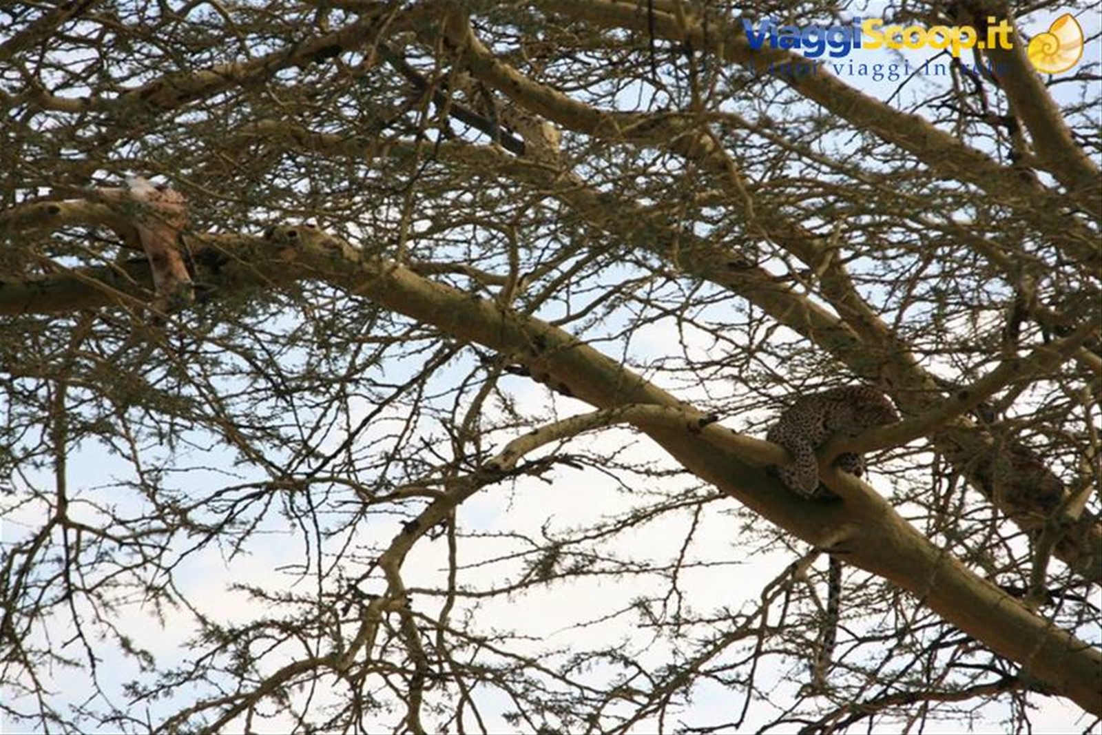 Foto di viaggio in TANZANIA