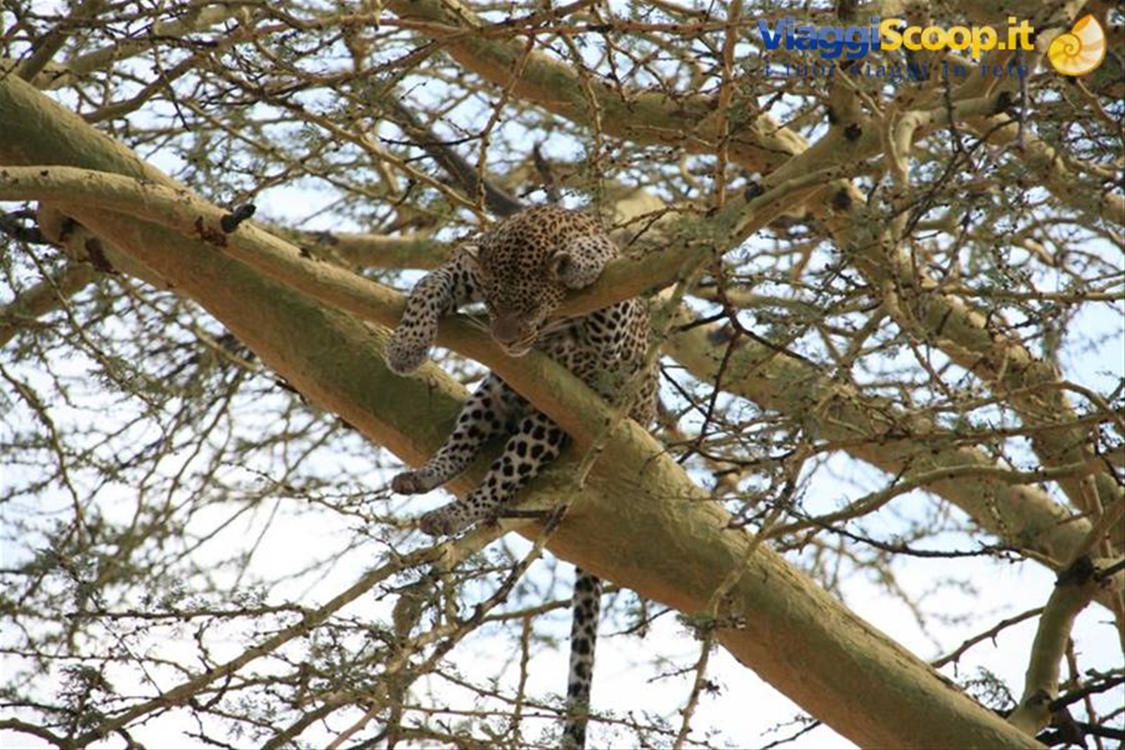 Foto di viaggio in TANZANIA