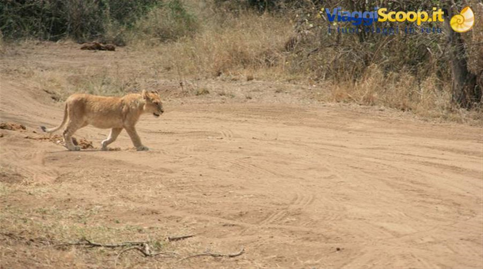 Foto di viaggio in TANZANIA