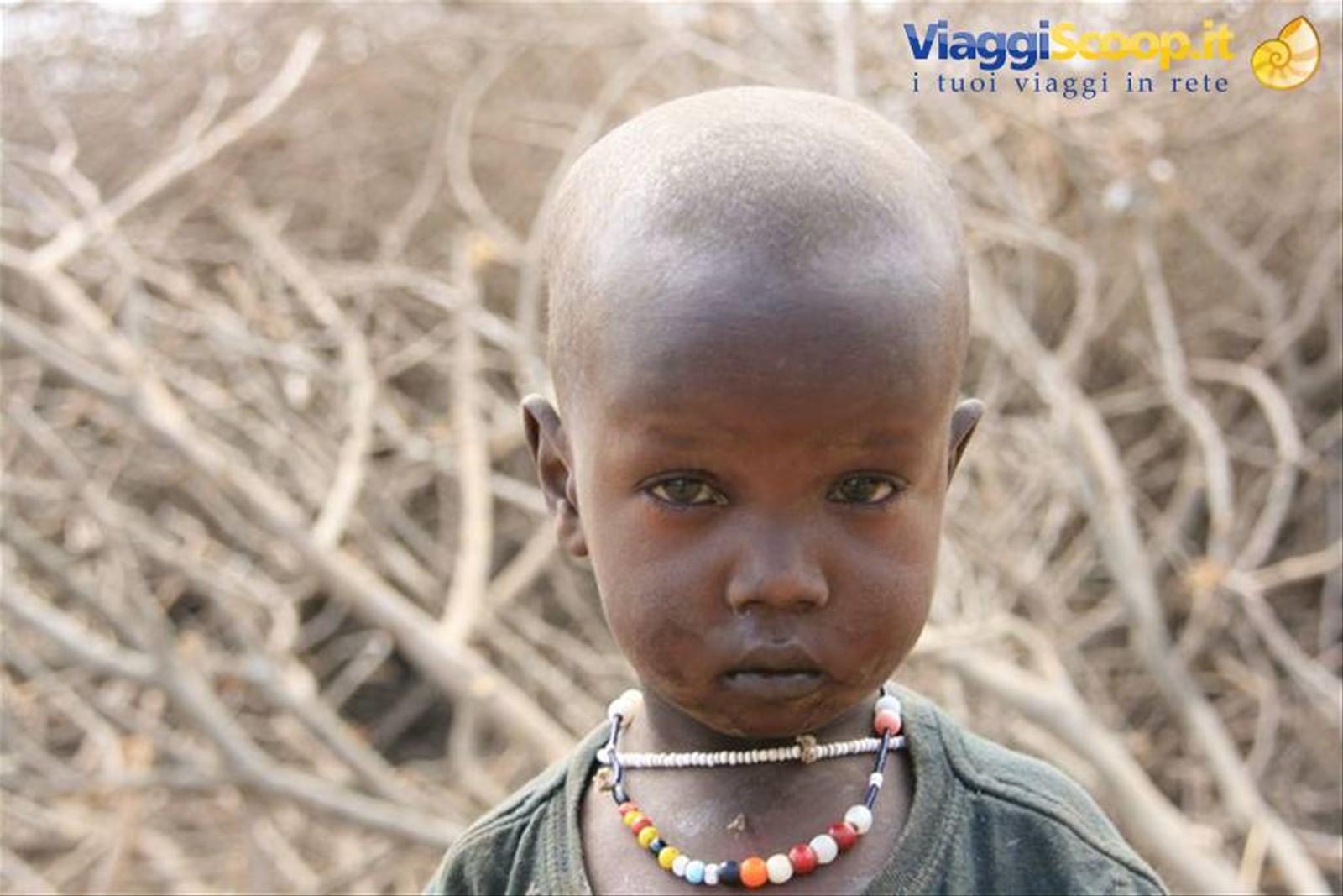 Foto di viaggio in TANZANIA