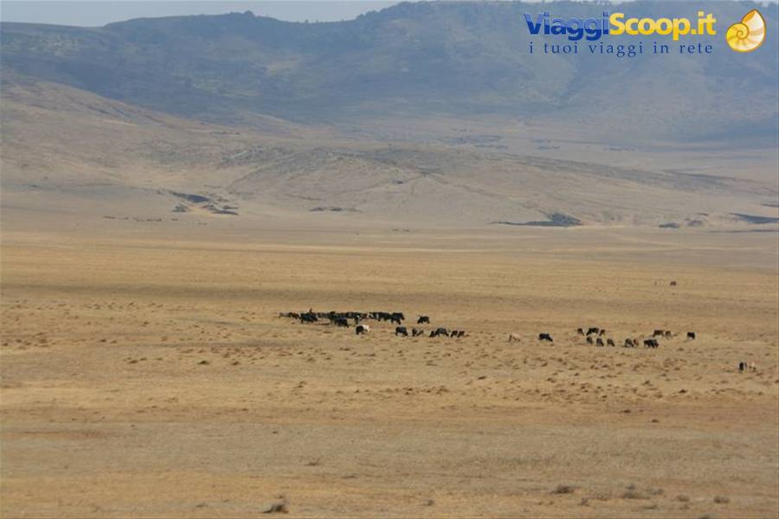 Foto di viaggio in TANZANIA