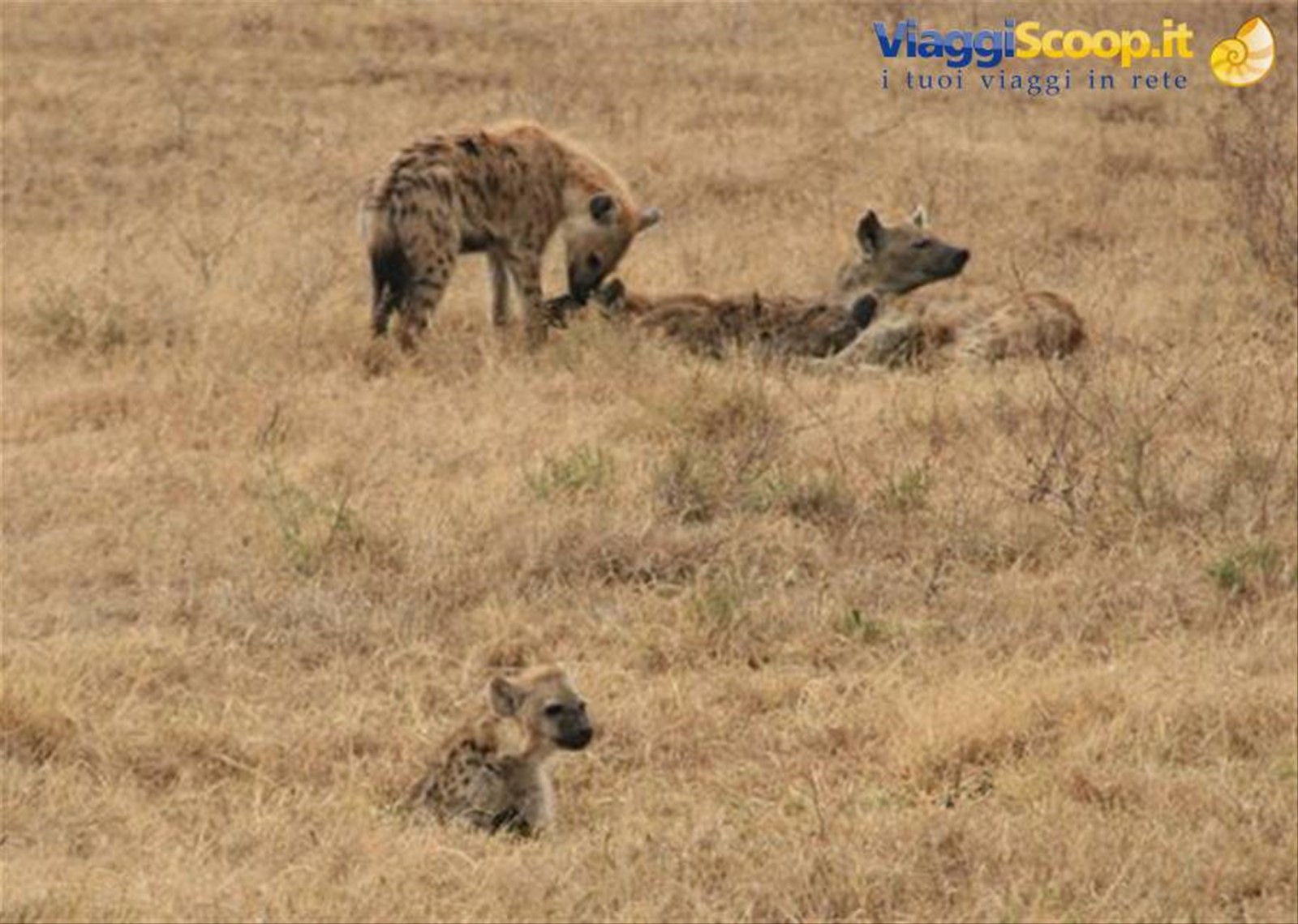 Foto di viaggio in TANZANIA