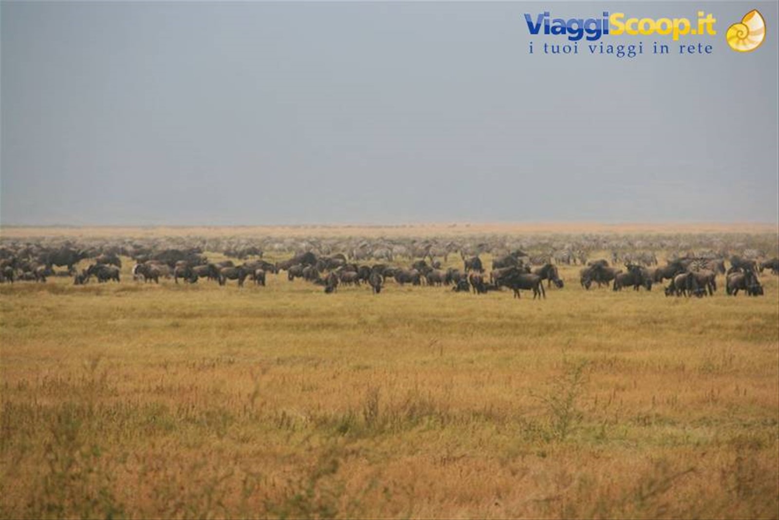 Foto di viaggio in TANZANIA