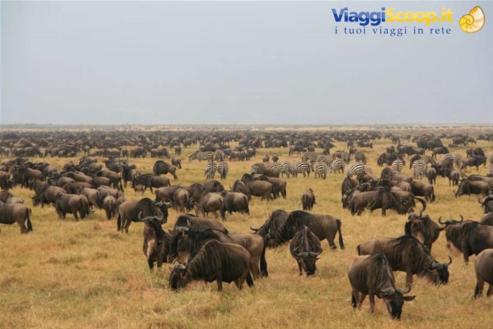 Foto di viaggio in TANZANIA
