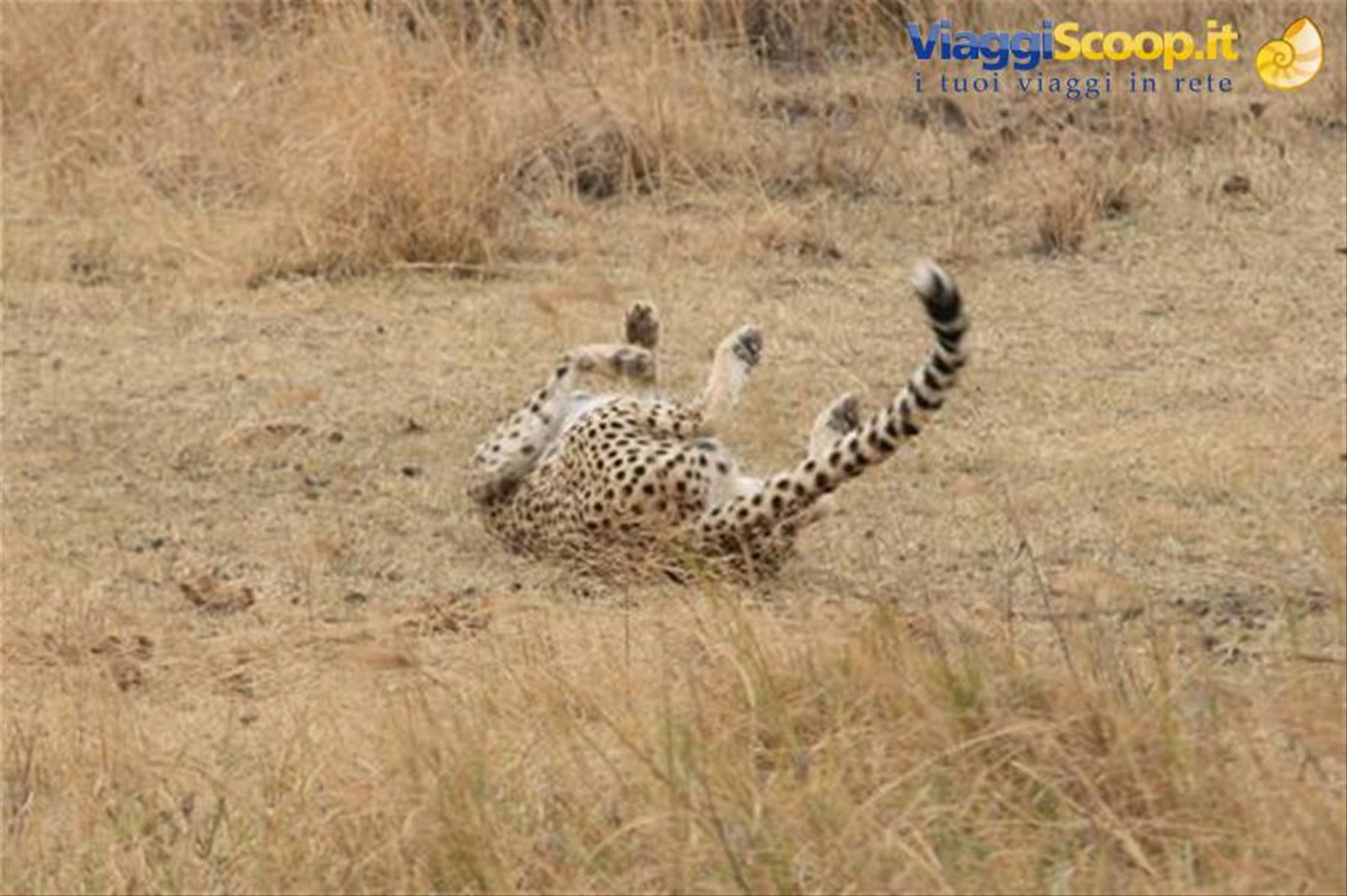 Foto di viaggio in TANZANIA