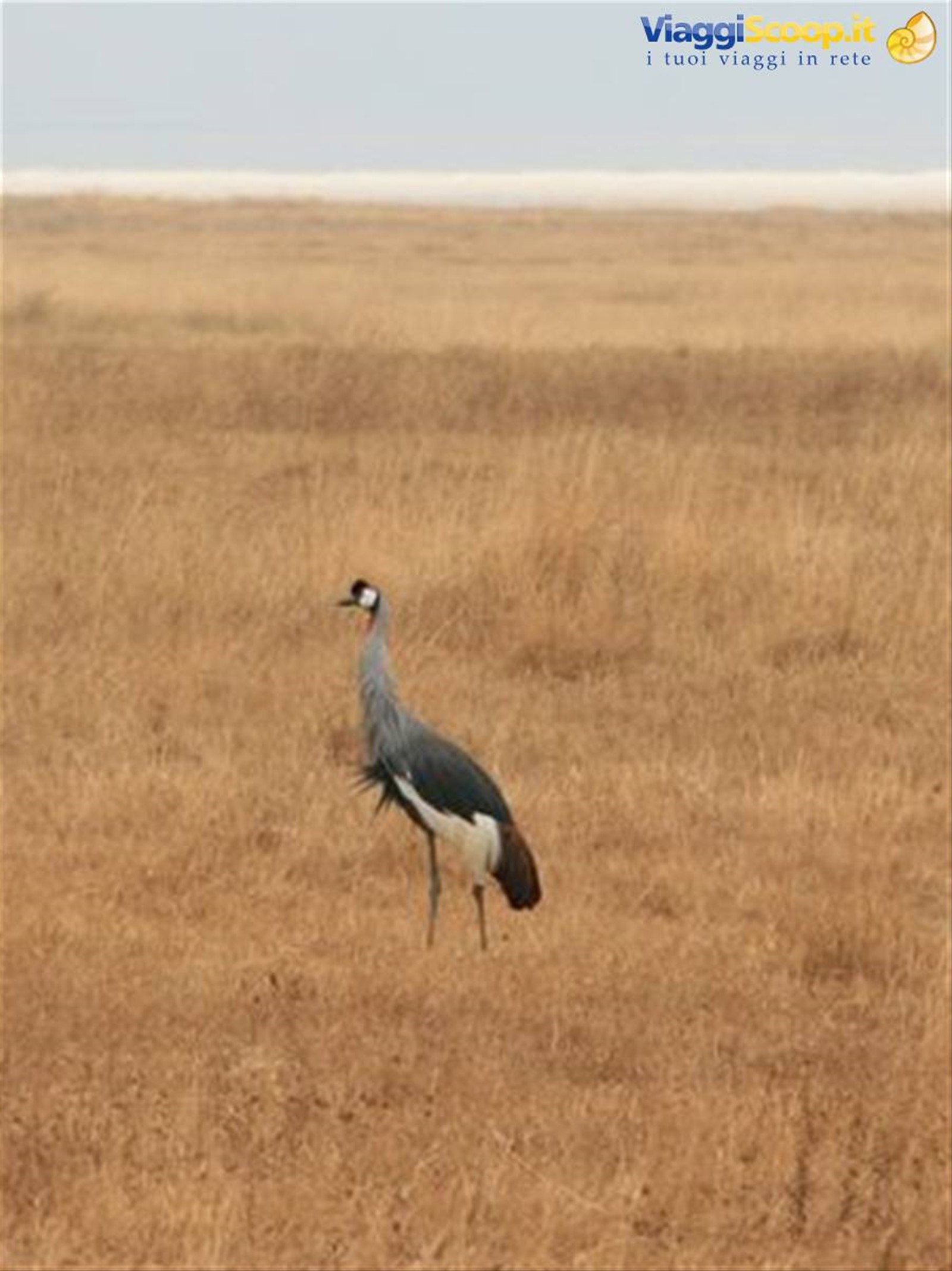 Foto di viaggio in TANZANIA