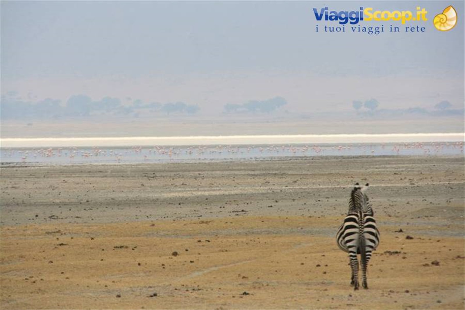 Foto di viaggio in TANZANIA