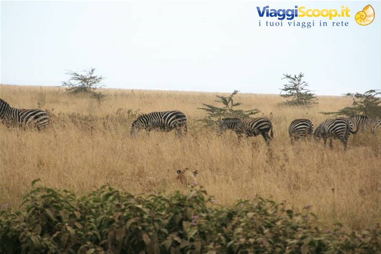 Foto di viaggio in TANZANIA