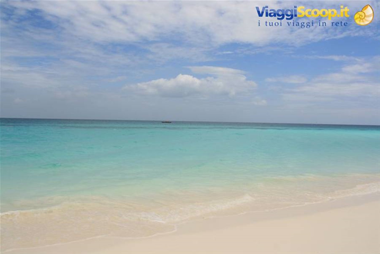 Foto di viaggio in TANZANIA