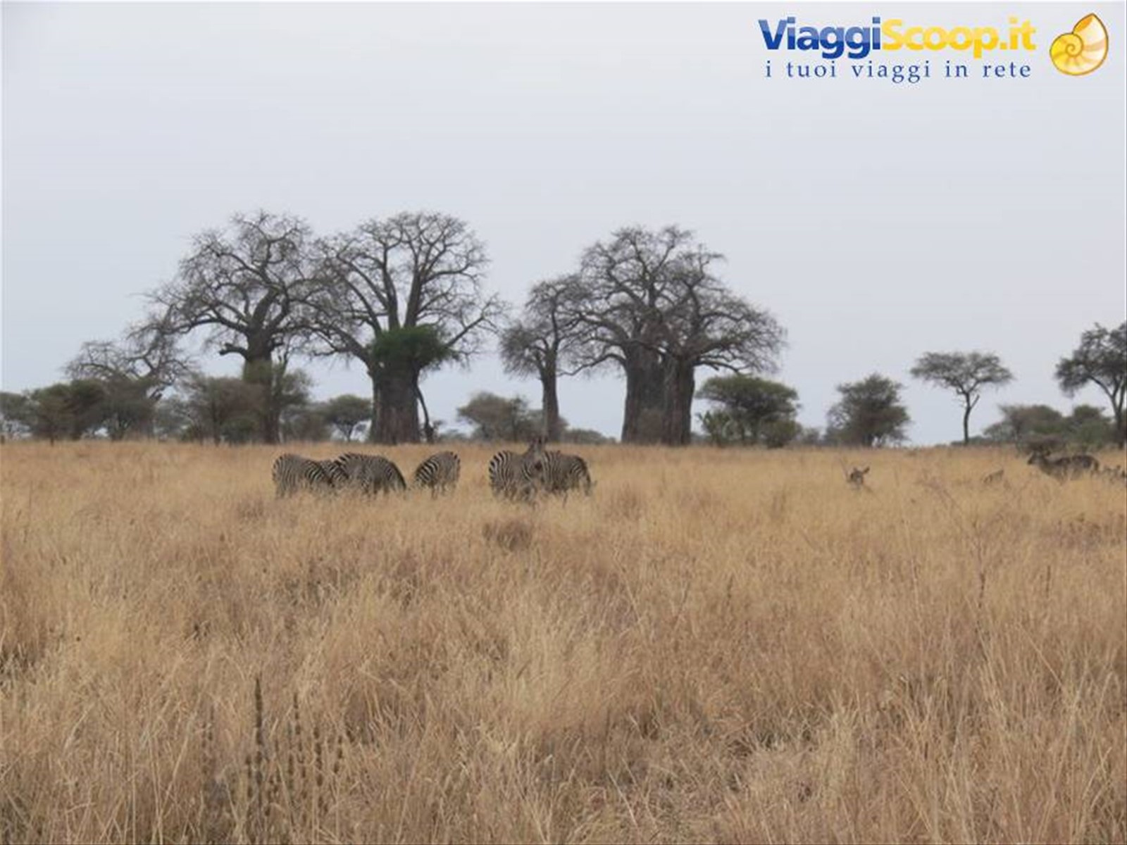 Foto di viaggio in TANZANIA