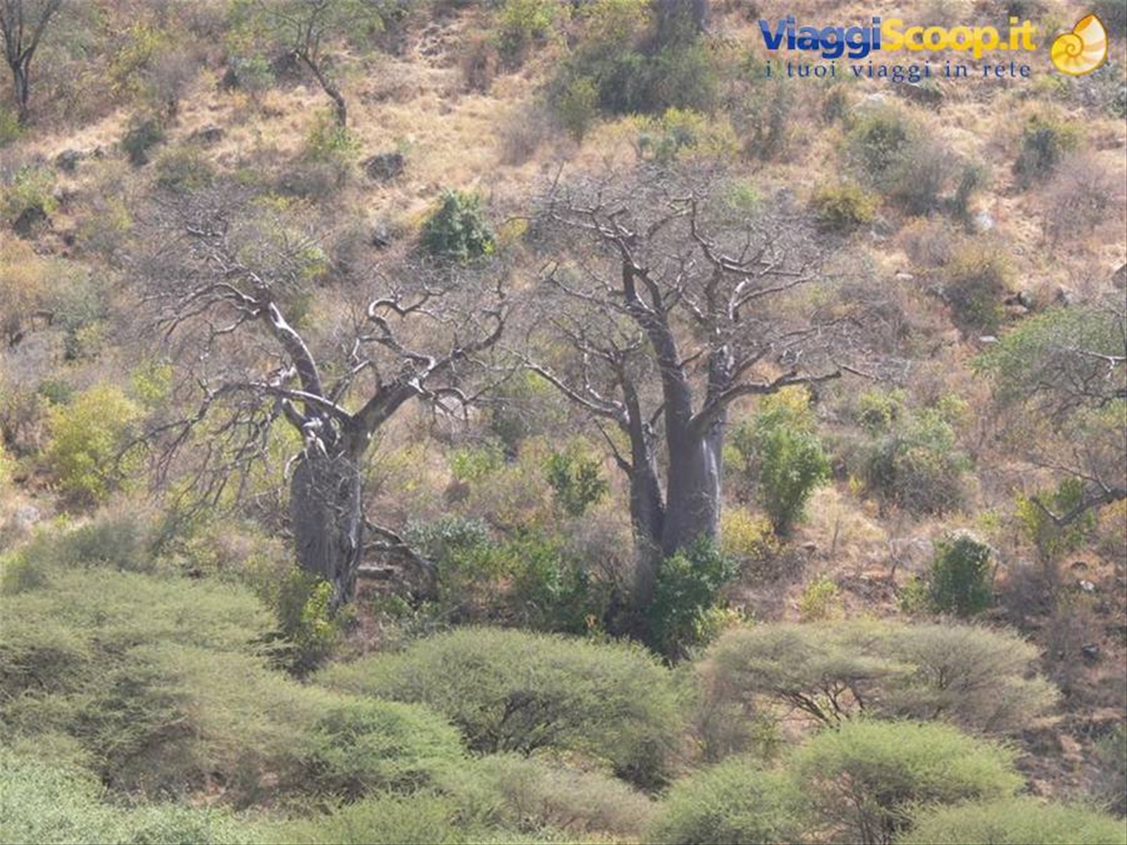 Foto di viaggio in TANZANIA