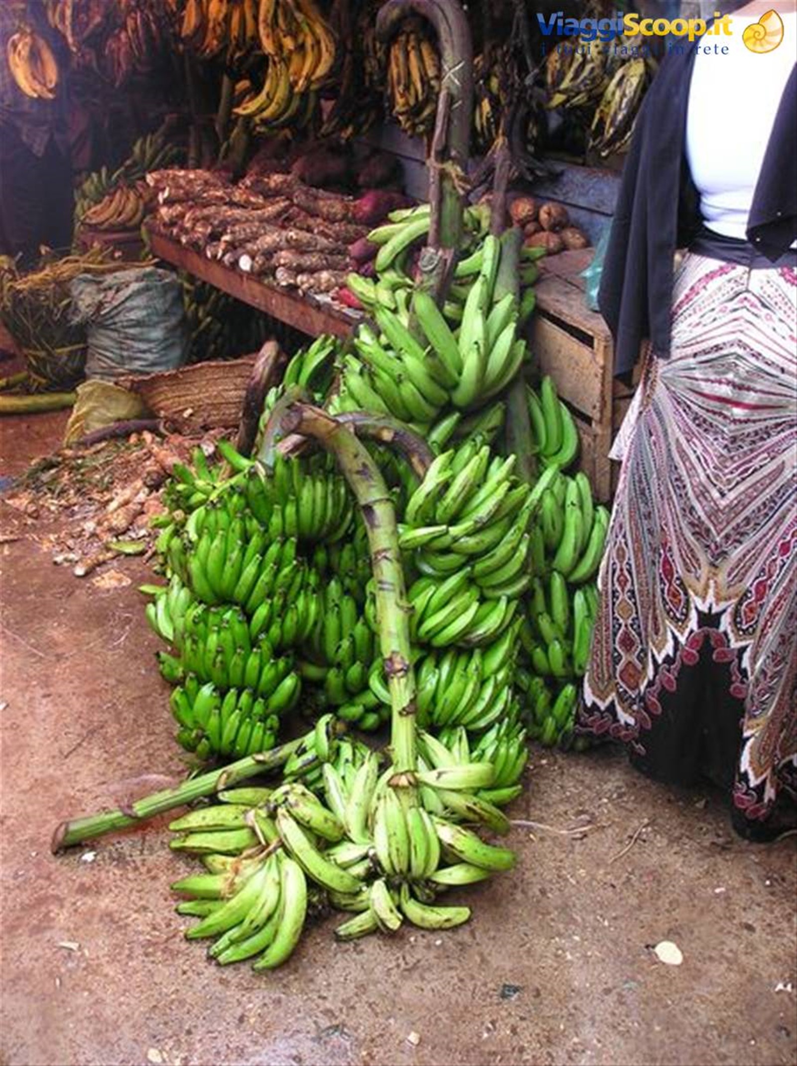 Foto di viaggio in TANZANIA