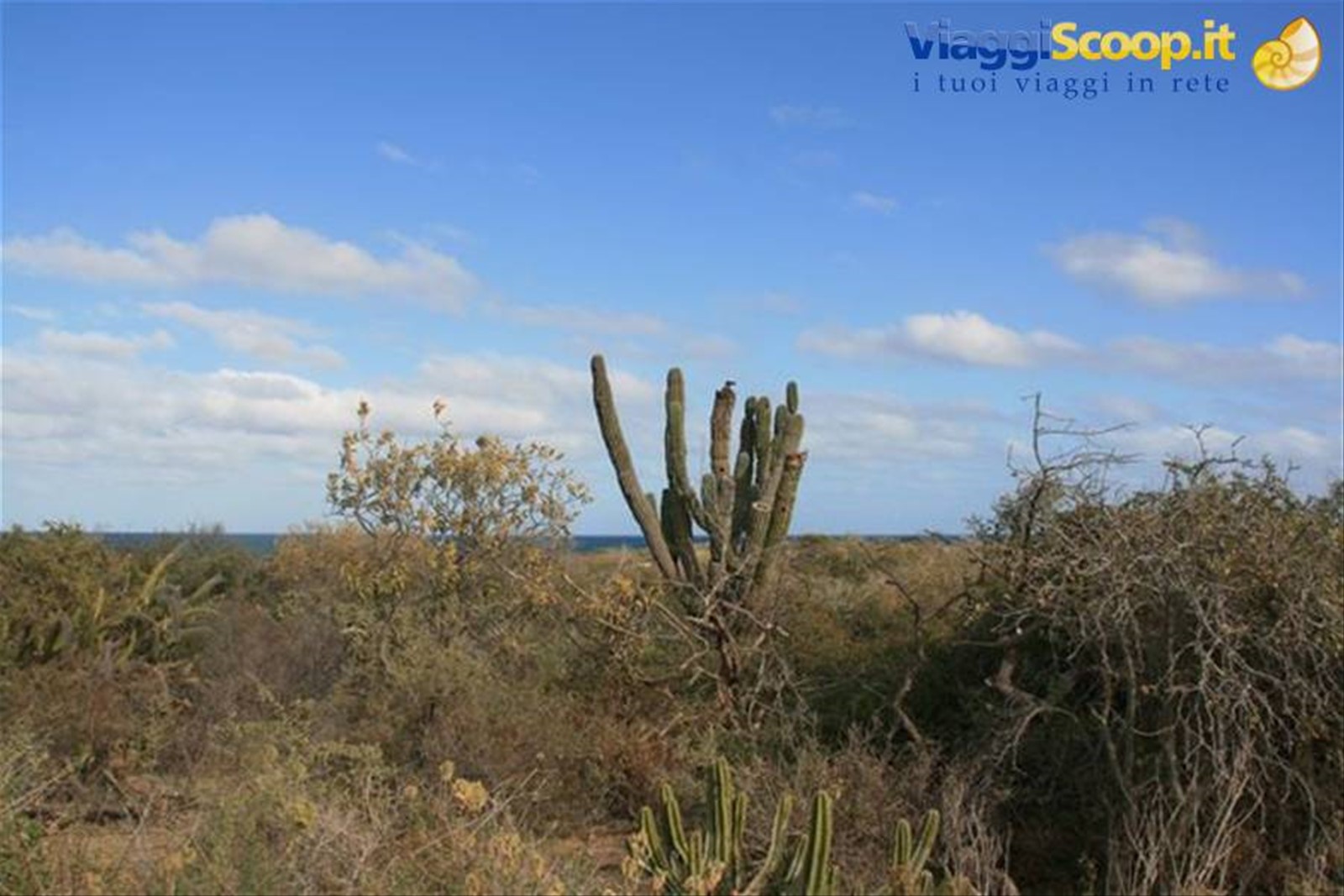 Foto di viaggio in MESSICO