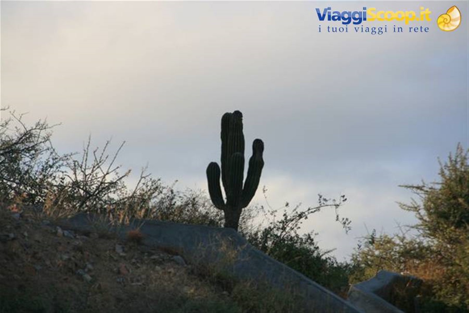 Foto di viaggio in MESSICO