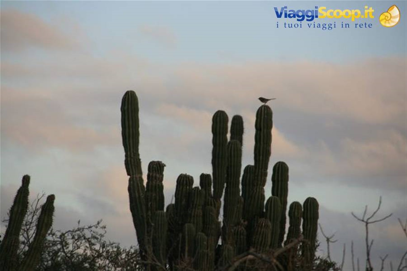 Foto di viaggio in MESSICO
