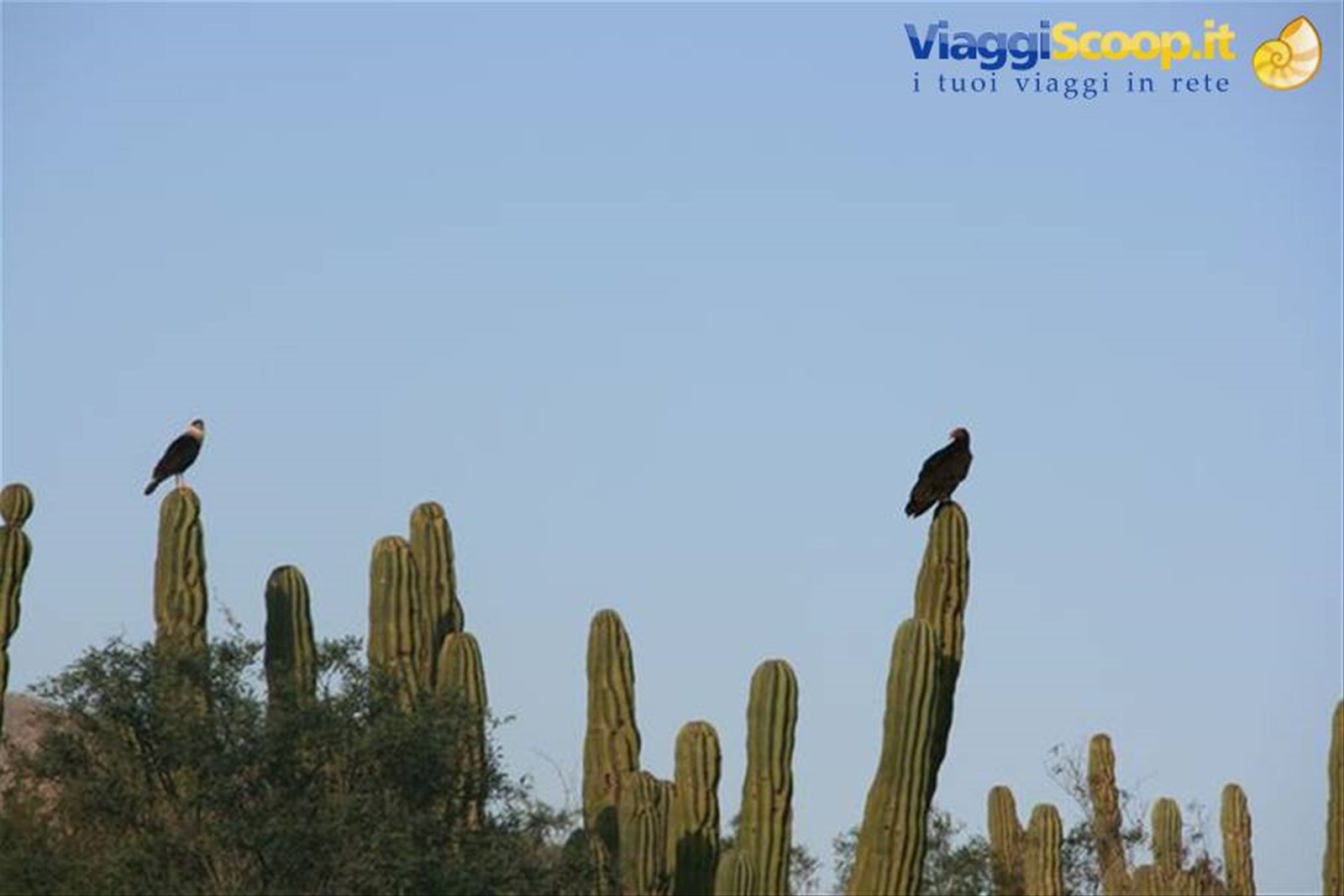 Foto di viaggio in MESSICO