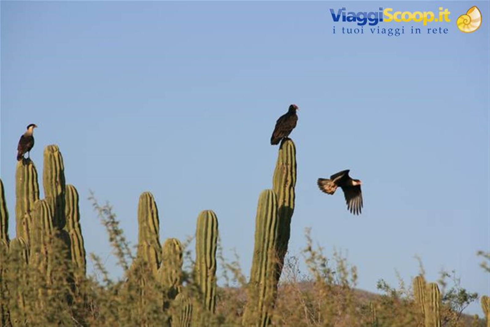 Foto di viaggio in MESSICO