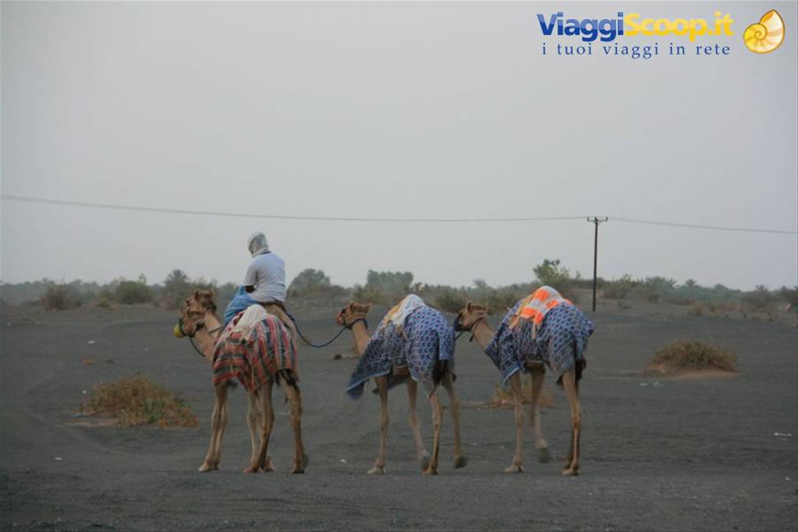 Foto di viaggio in OMAN