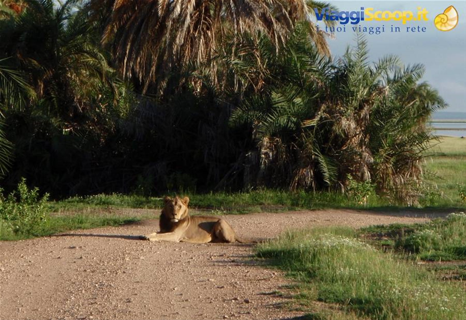 Amboseli