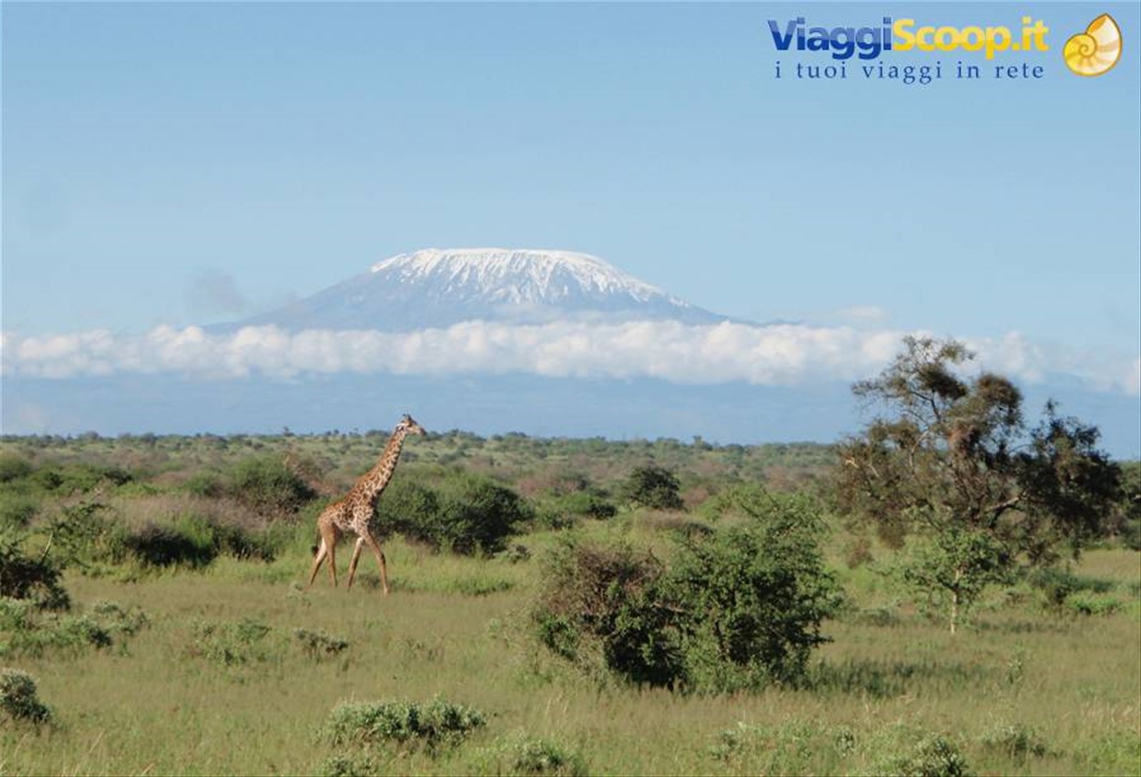 Amboseli