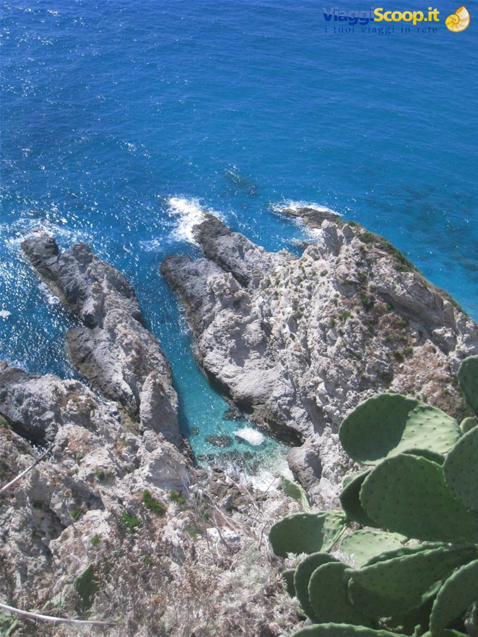 la lingua di mare...
