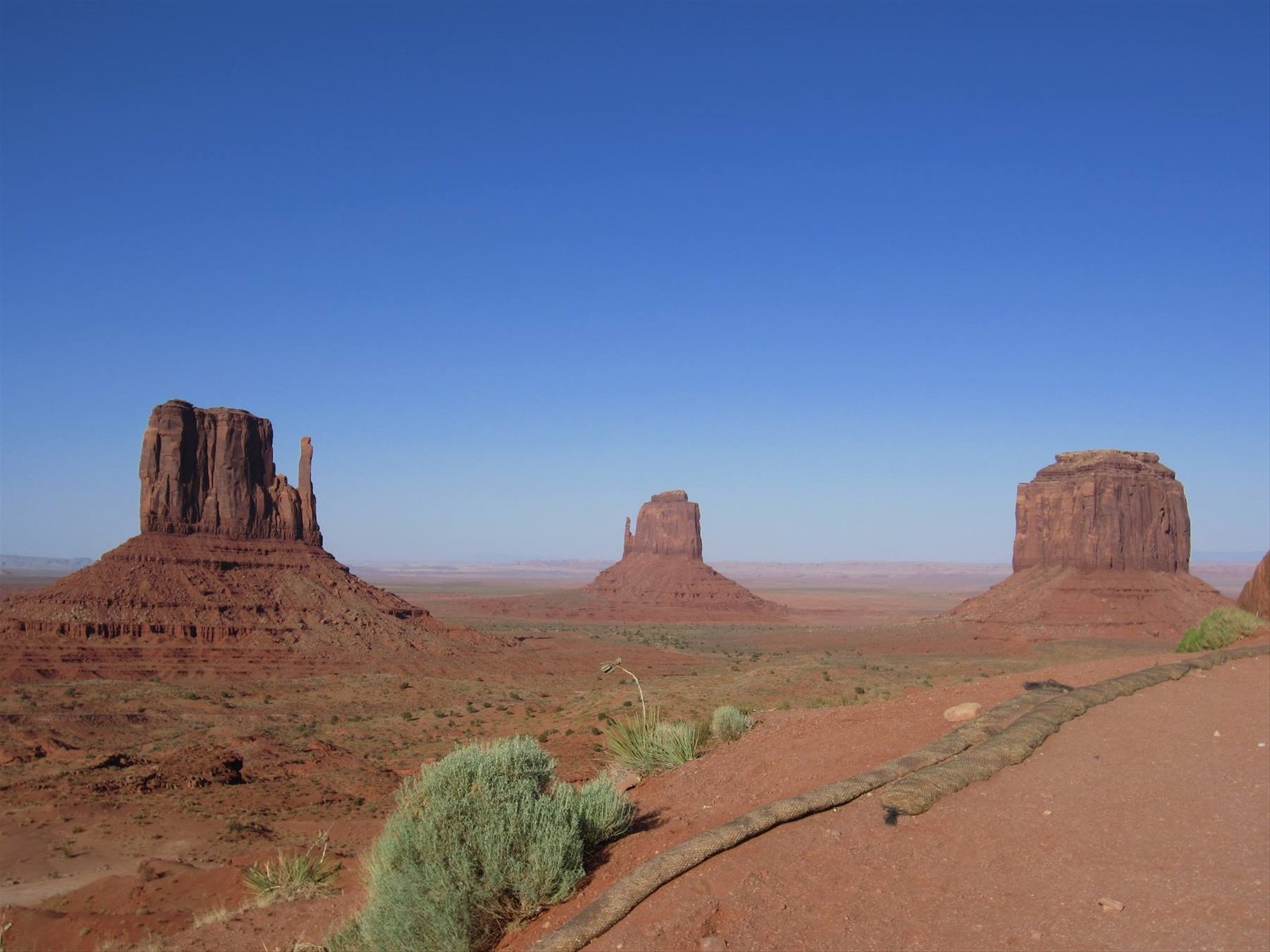 Foto di viaggio in STATI UNITI D'AMERICA