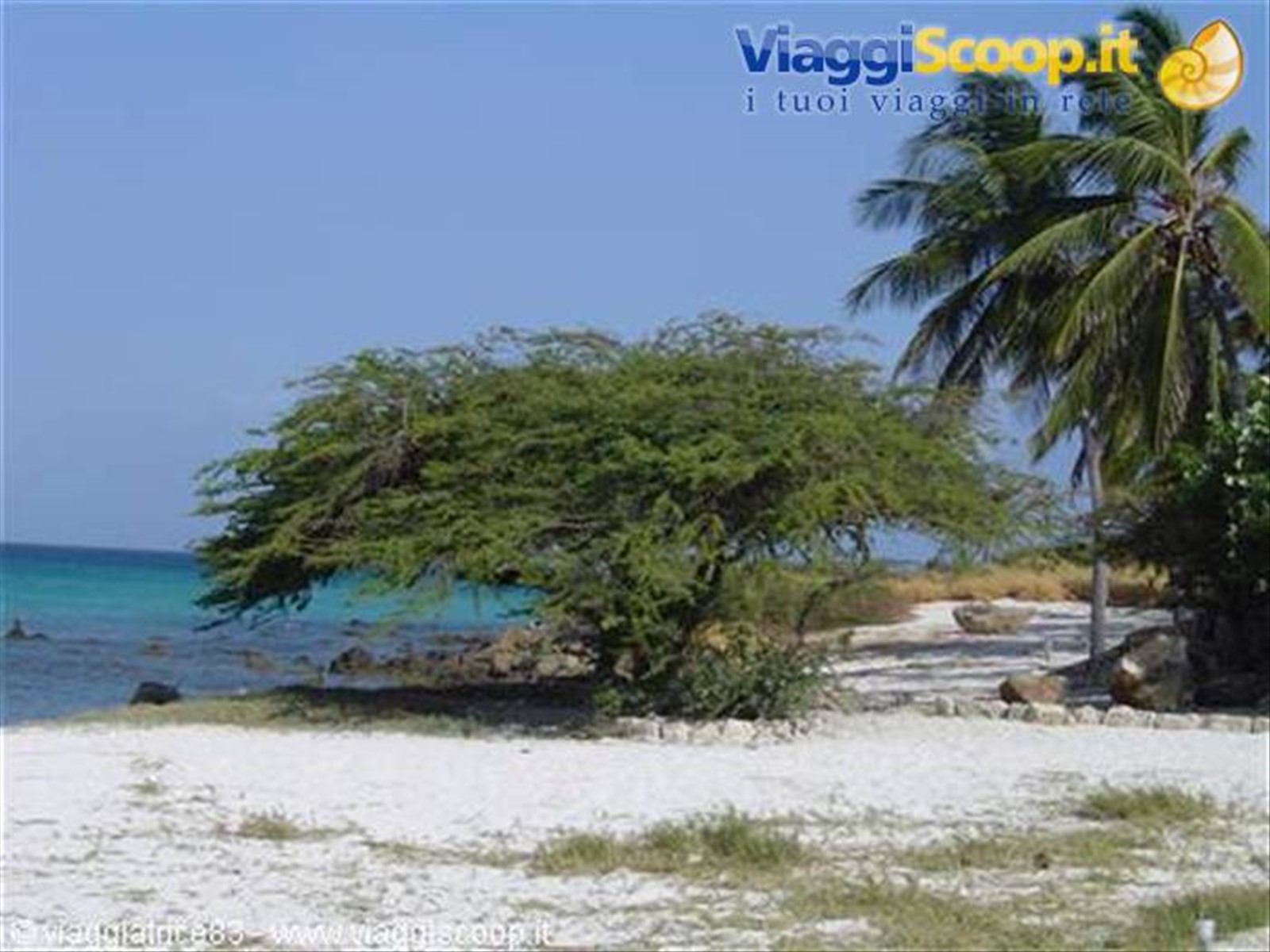 Foto di viaggio in ARUBA