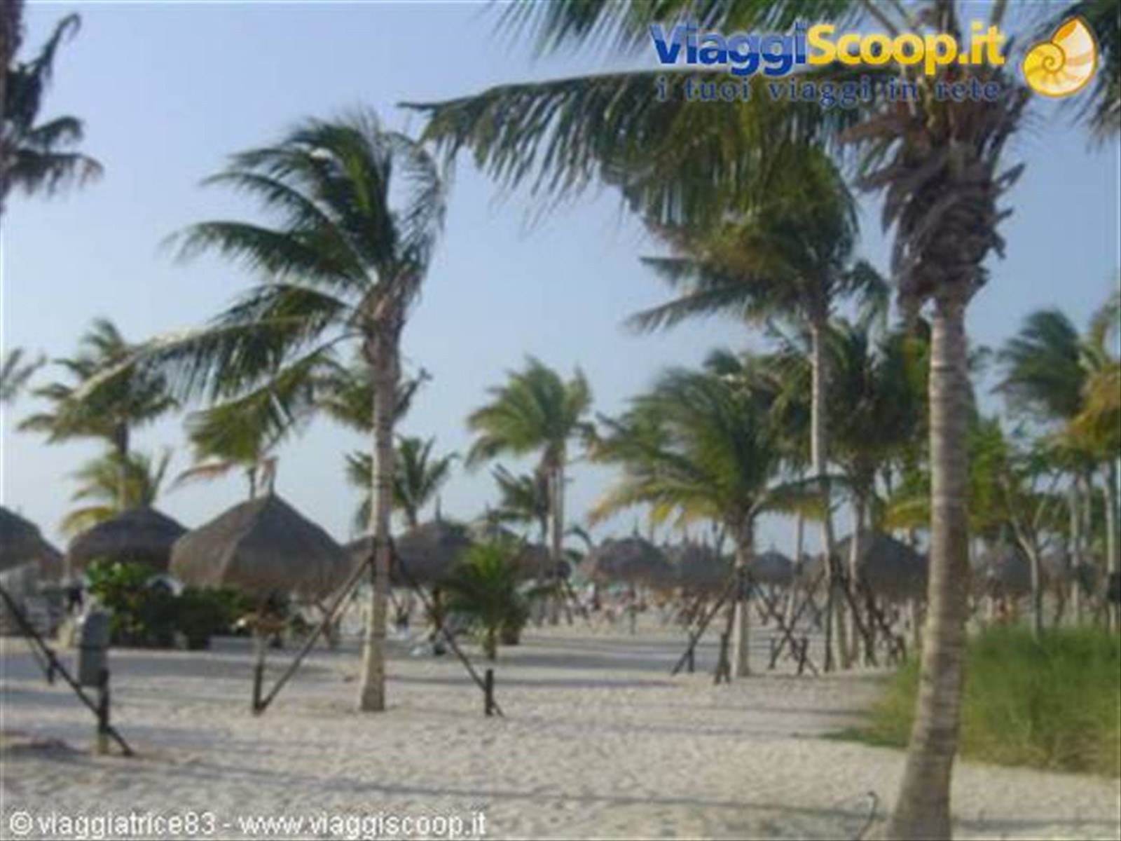 Foto di viaggio in ARUBA