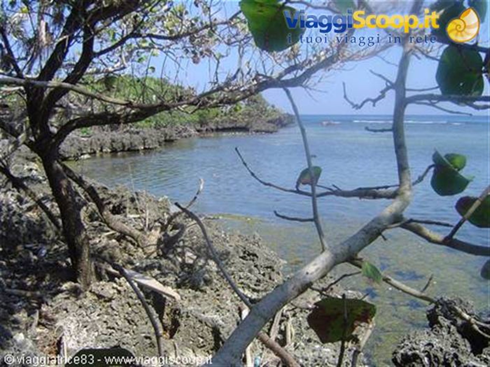 Splendida Roatan