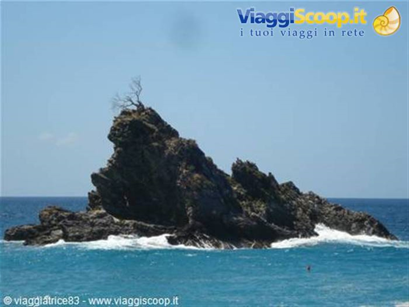 lo scoglio dell'ulivo