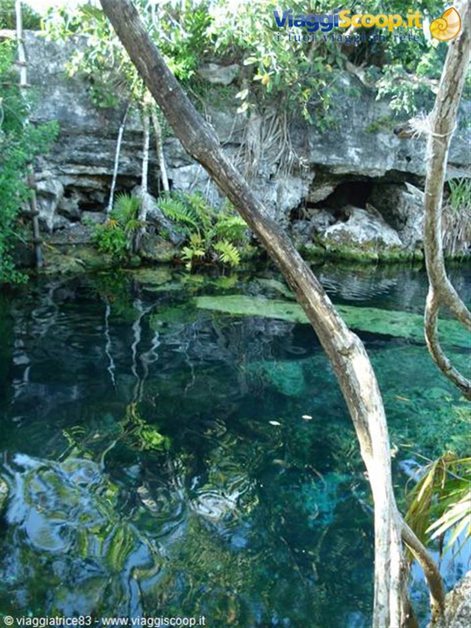 cenote cristalino..
