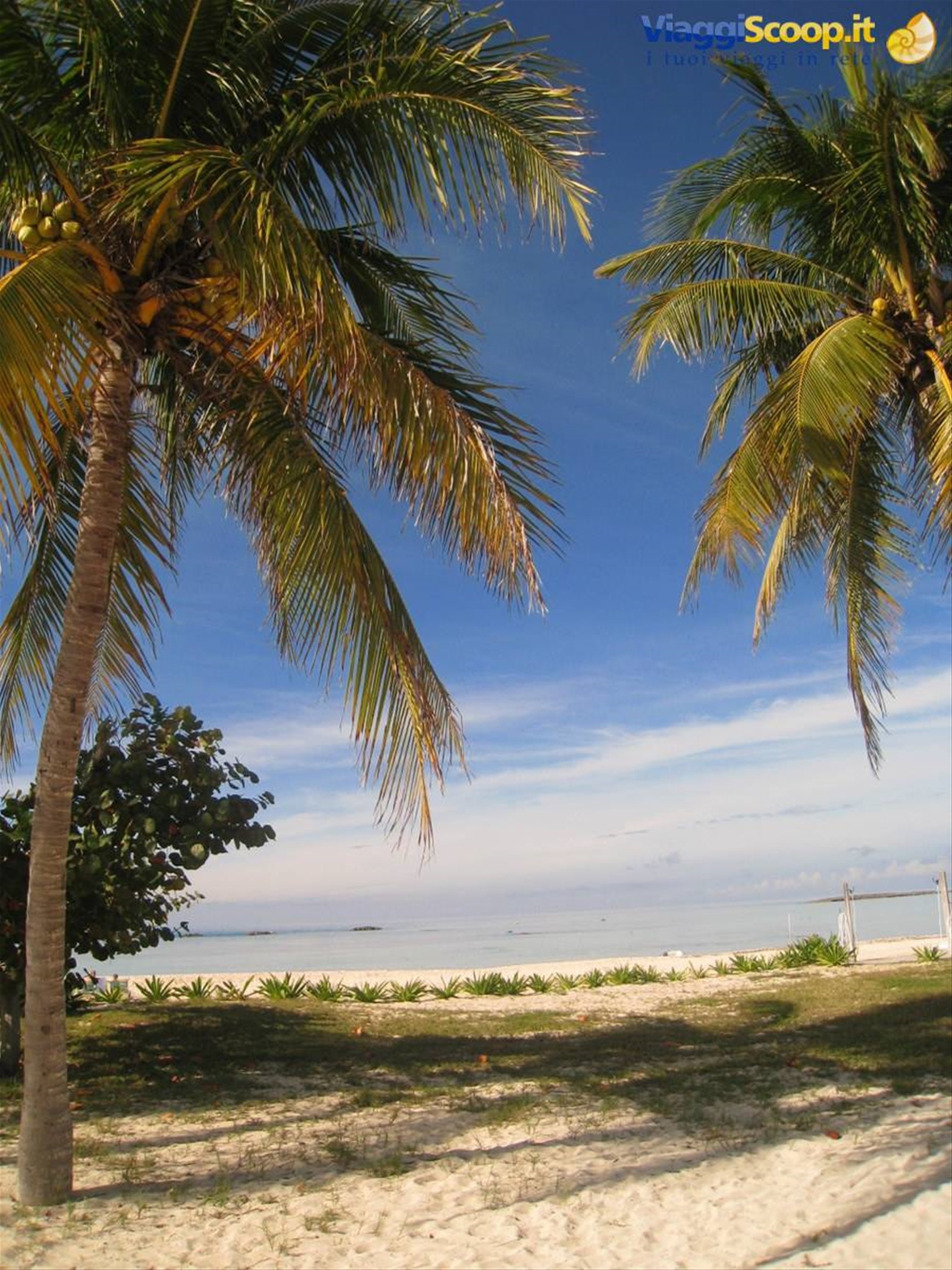 ALTRO PARADISO... GRAND BAHAMAS