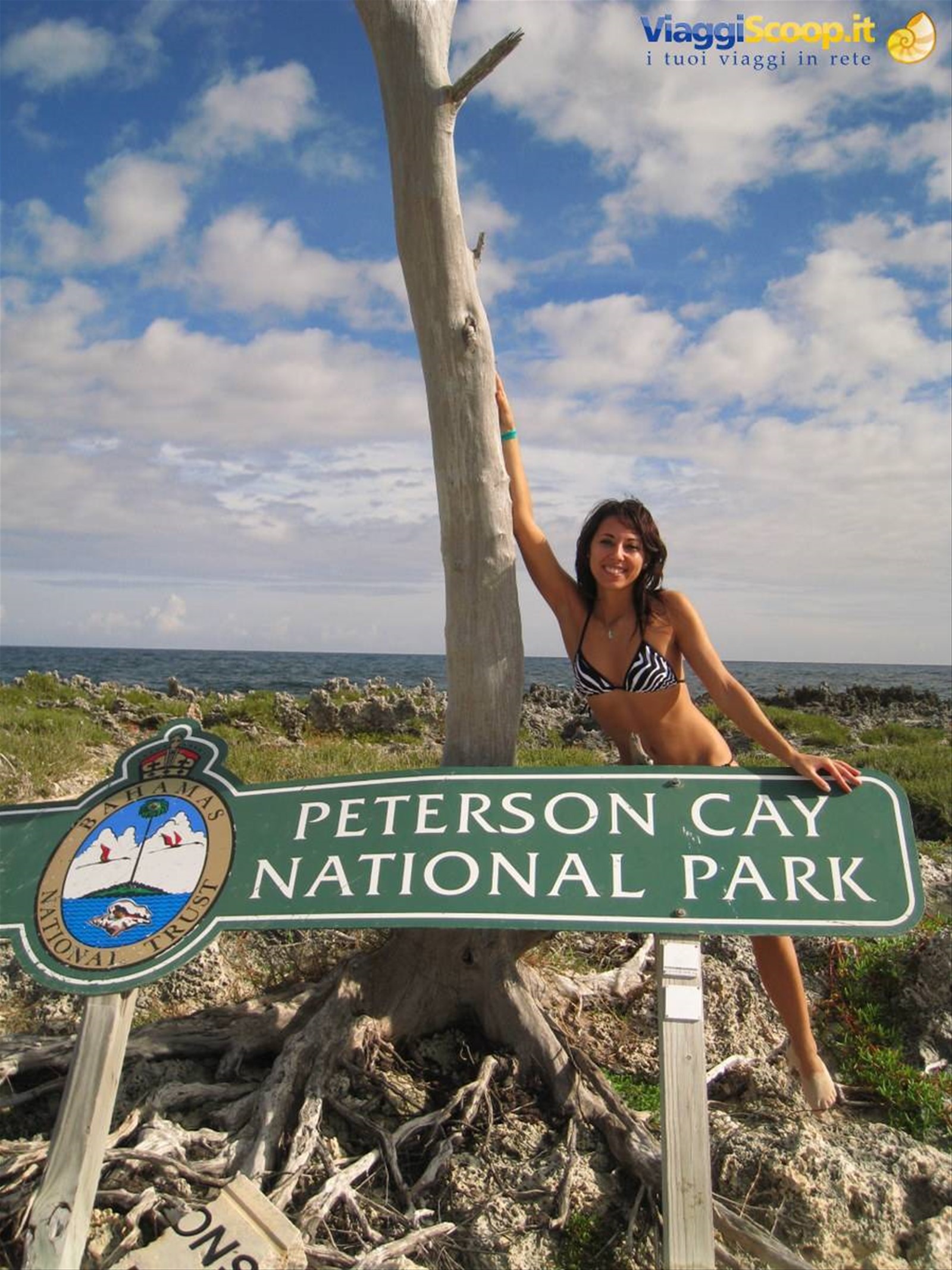 Peterson Cay